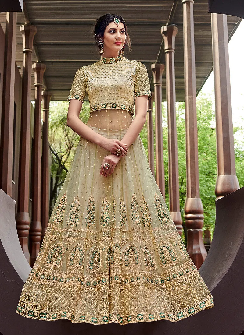 Light Green Overall Zari Embellished Designer Anarkali Gown