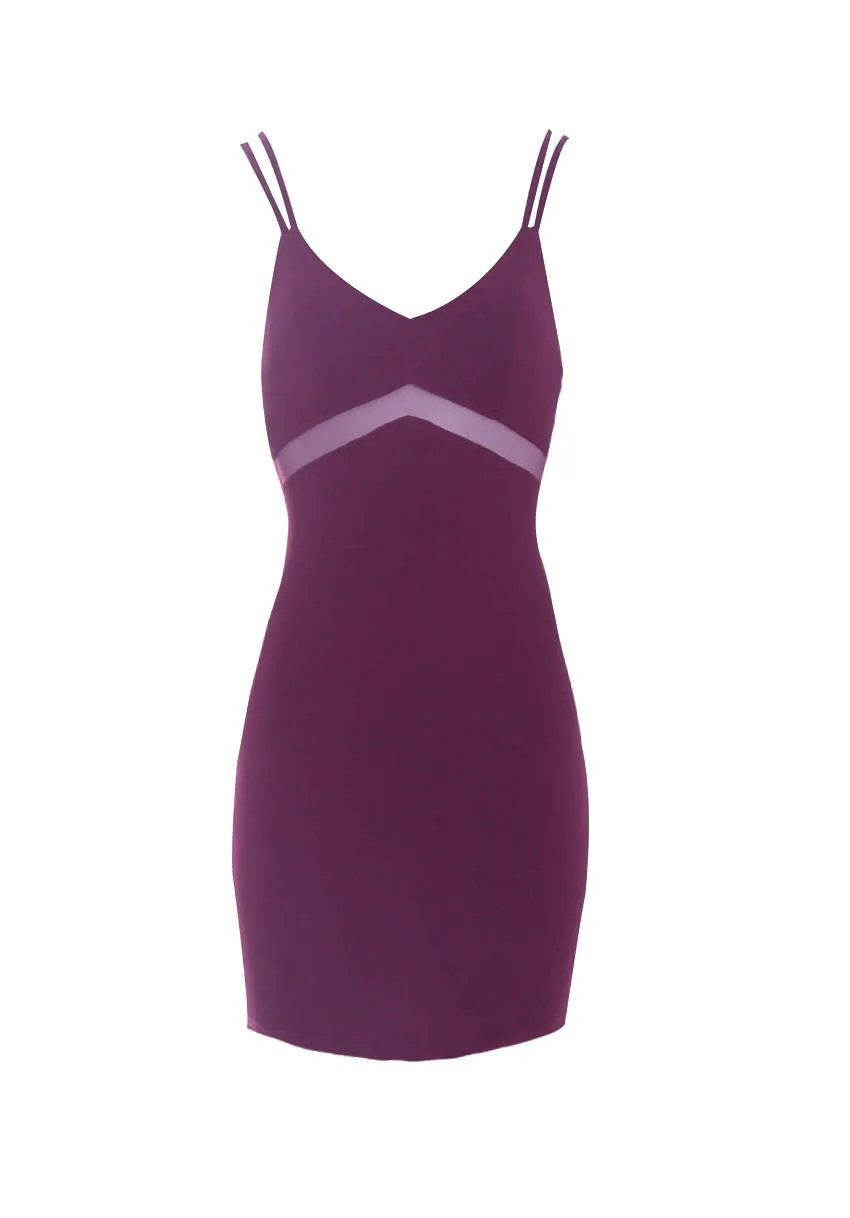 Plum Mesh Bodycon Dress