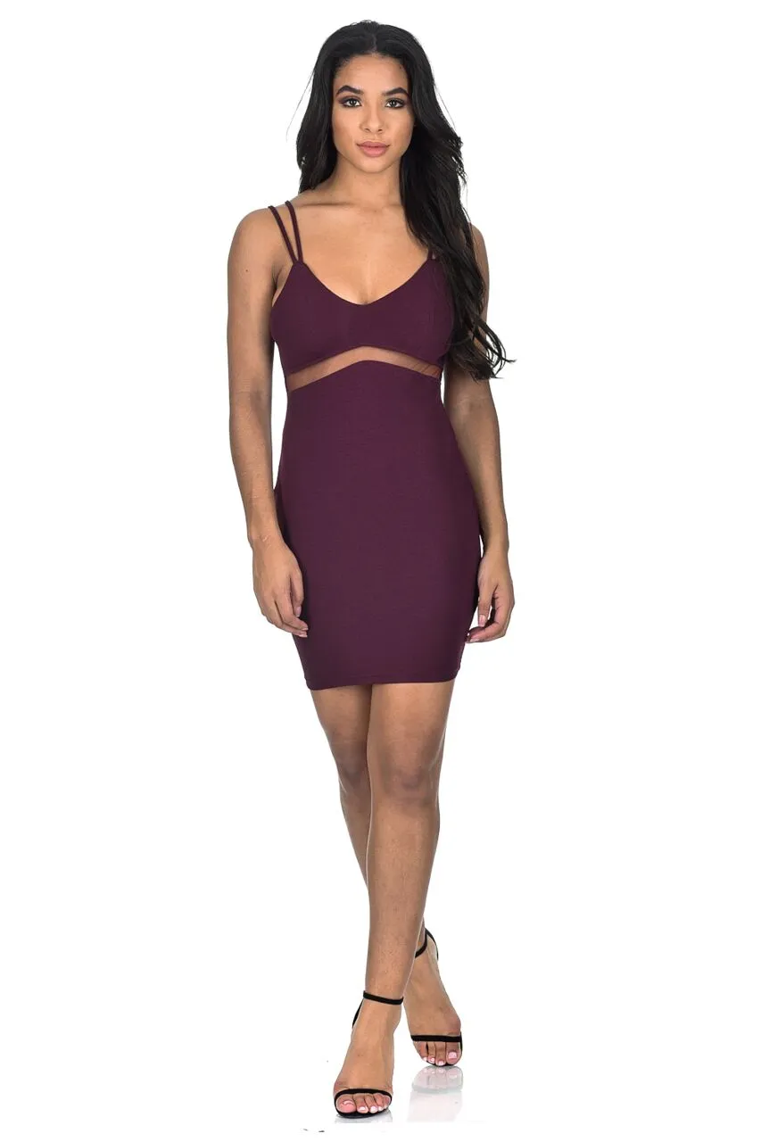 Plum Mesh Bodycon Dress